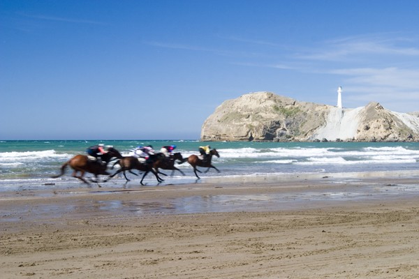 Castlepoint beach horse races